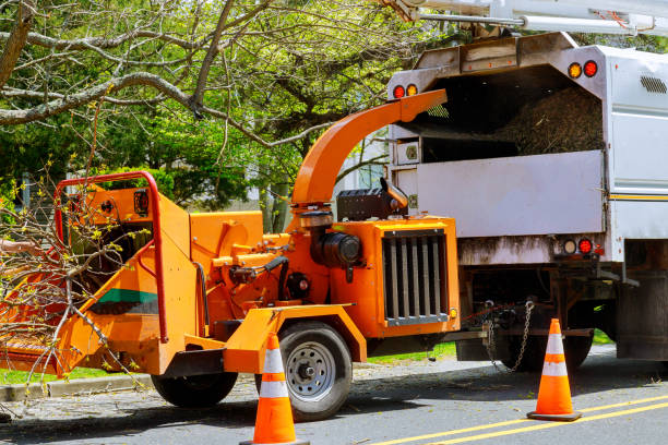 Best Storm Damage Tree Cleanup  in Emmett, ID